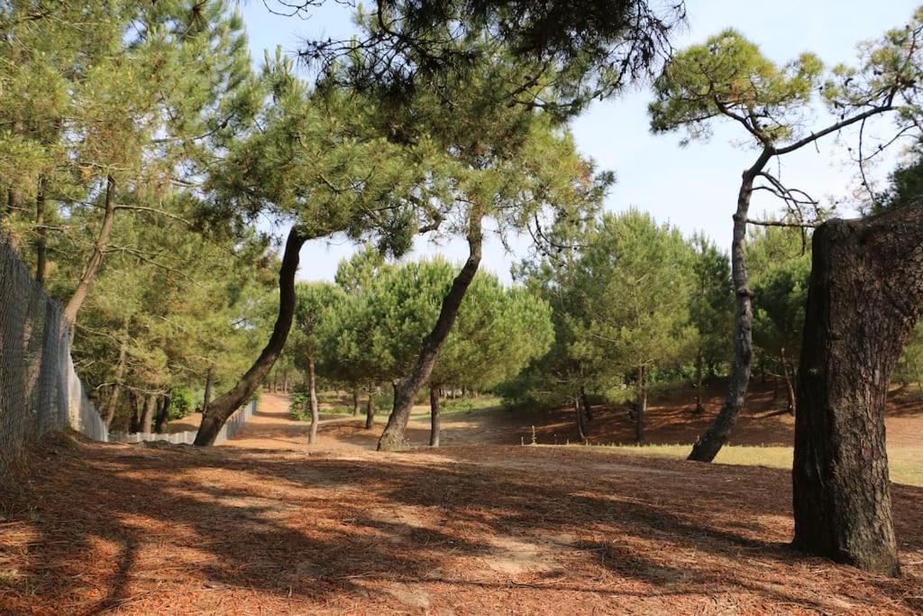 סן-ברבן-לה-פן Vaimiti, Cabane Cosy Sous Les Pins מראה חיצוני תמונה